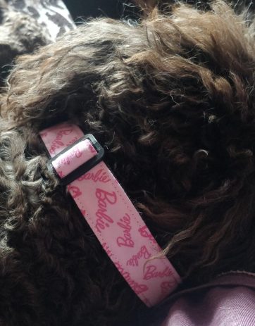 Collar Perro Barbie